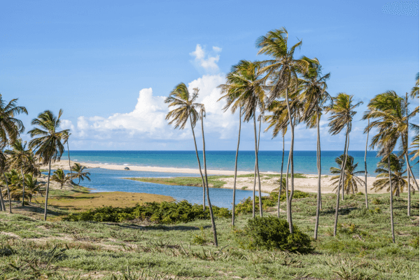Praia-ou-Campo-Escolha-o-Melhor-Roteiro-para-um-Fim-de-Semana-Inesquecivel-praia-de-pipa-rn